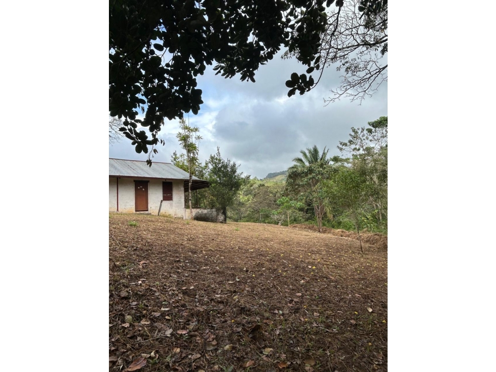 FINCA EN VENTA CAPIRA, PANAMÁ OESTE - 4
