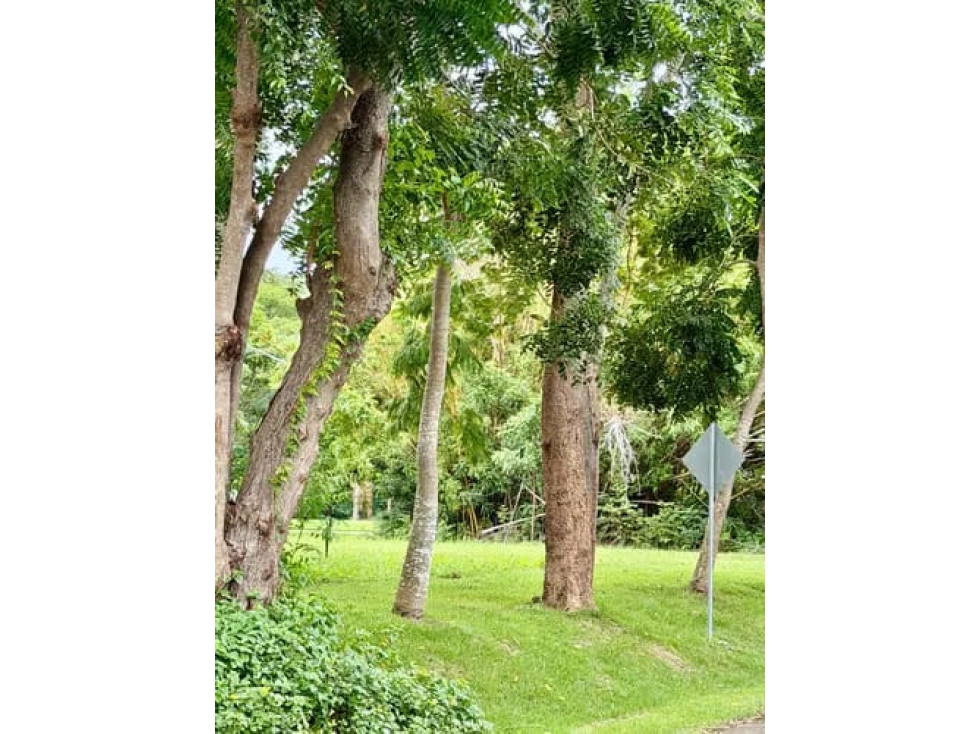 TERRENO EN VENTA BUENAVENTURA, FARALLÓN - 5