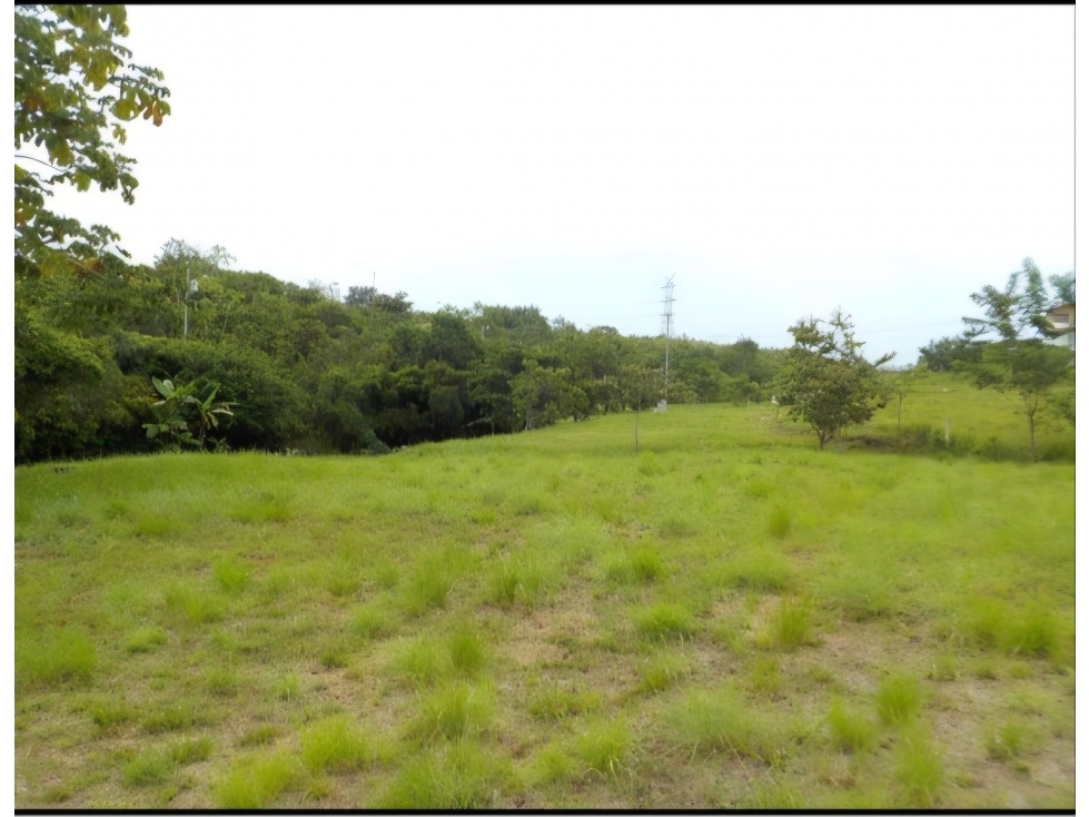 VENTA DE TERRENO EN SAN CARLOS, GANGA - 2