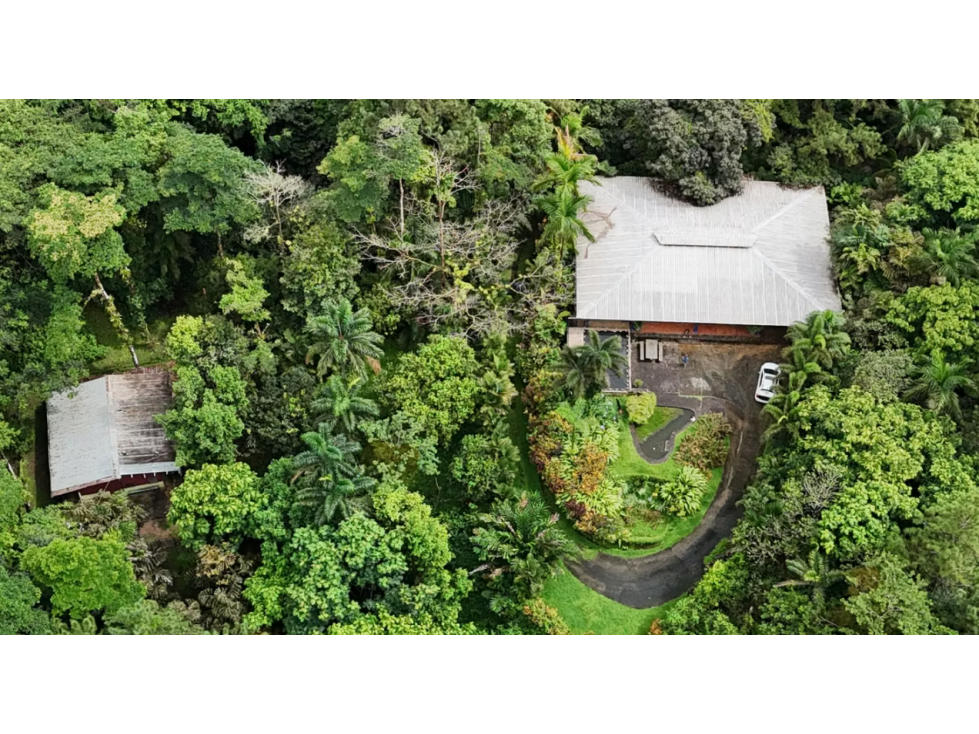 FINCA CAMPESTRE EN VENTA PICO PIXBAE, PENONOMÉ, COCLÉ - 2