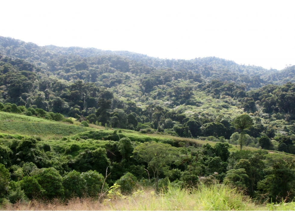 VENTA DE TERRENO PARA INVERSION - 4