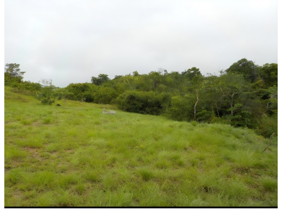 VENTA DE TERRENO EN SAN CARLOS, GANGA - 6