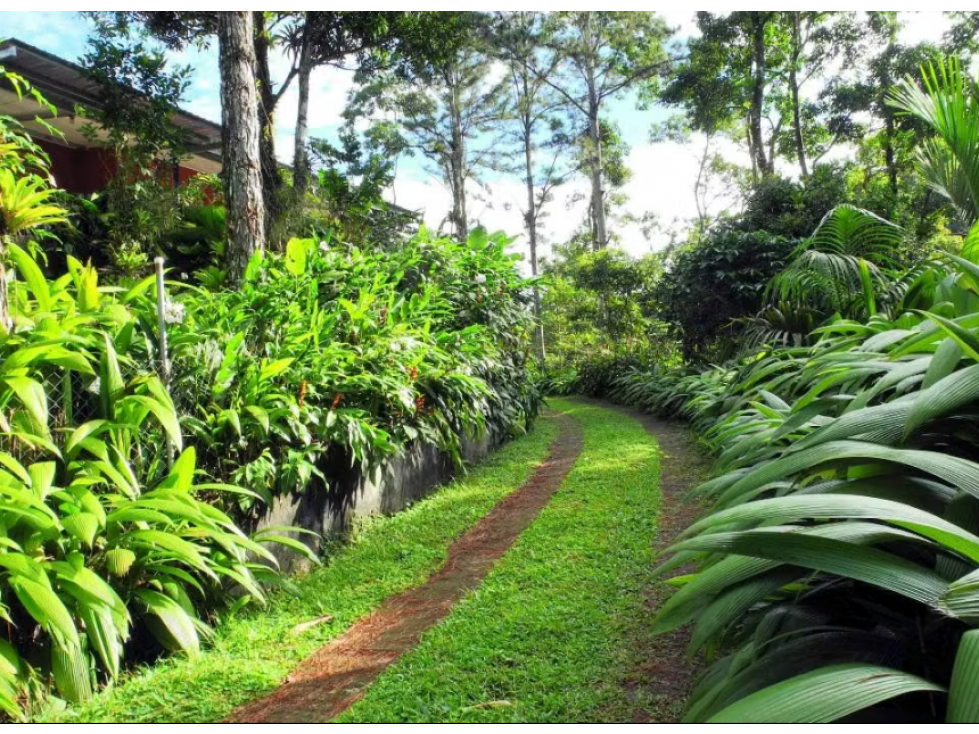 FINCA CAMPESTRE EN VENTA PICO PIXBAE, PENONOMÉ, COCLÉ - 3