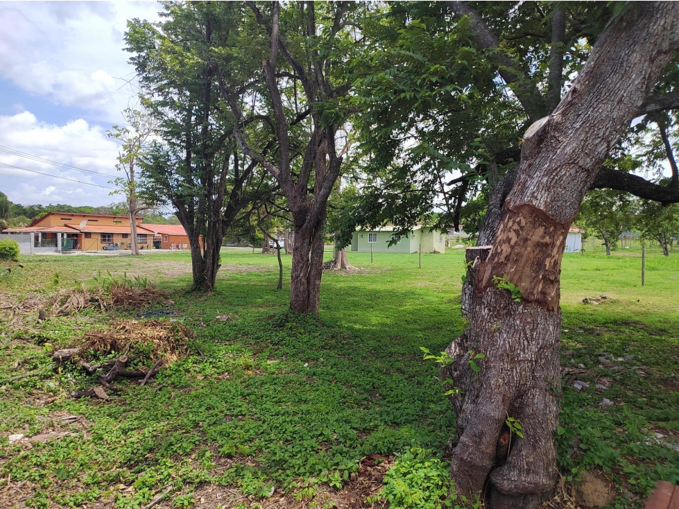 Terreno a Excelente precio en Urbanización — foto 3
