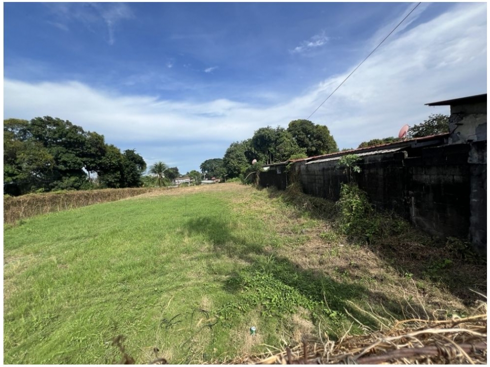 SE VENDE TERRENO EN PEDREGAL (CIUDAD DE PANAMA) — foto 4