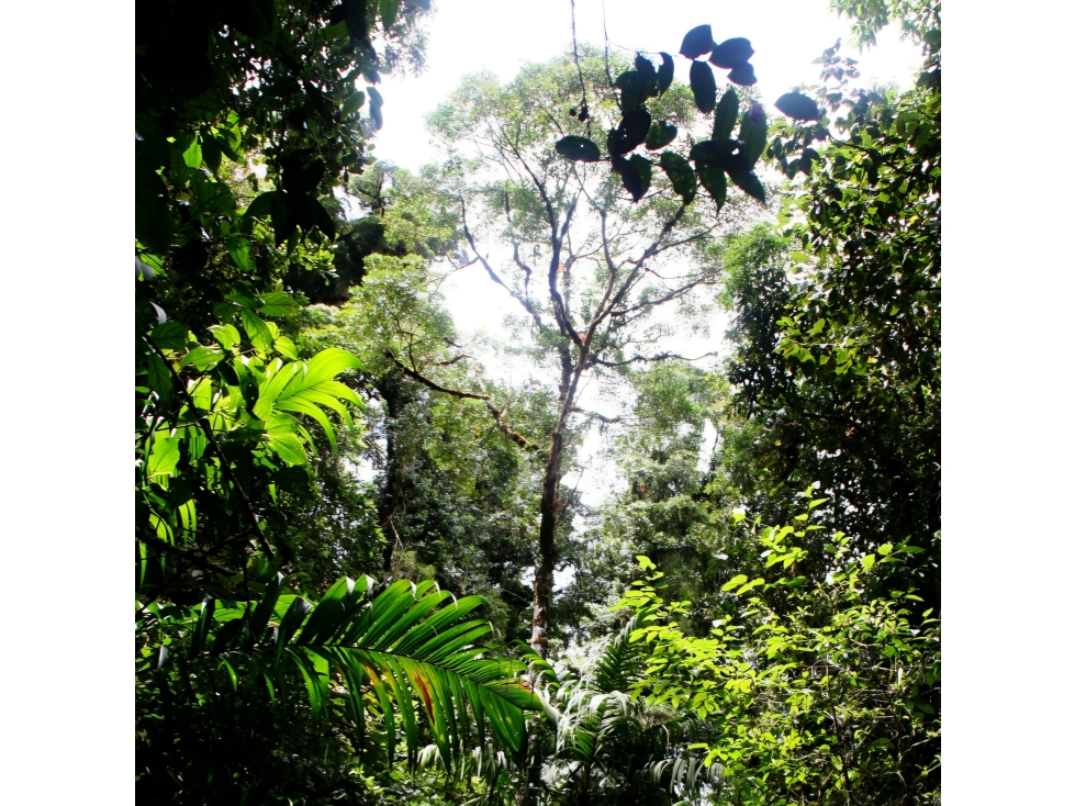 VENTA DE TERRENO PARA INVERSION - 5