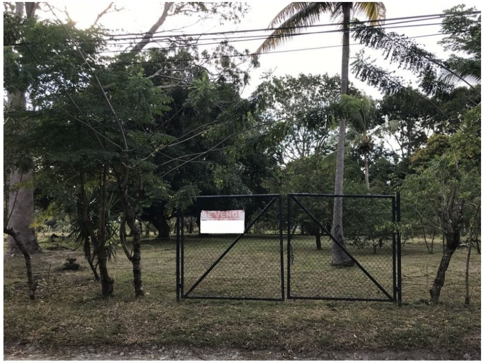 Se Vende Terreno en Gorgona - 4