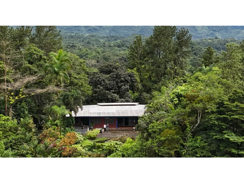 FINCA CAMPESTRE EN VENTA PICO PIXBAE, PENONOMÉ, COCLÉ - 4