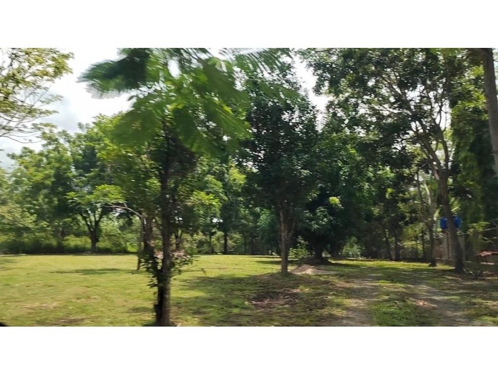 Venta de finca con casa en Cabuya — foto 4