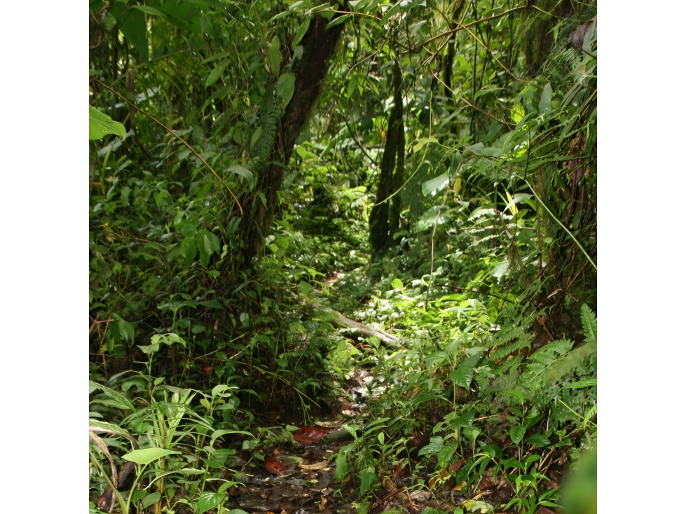 VENTA DE TERRENO PARA INVERSION - 6