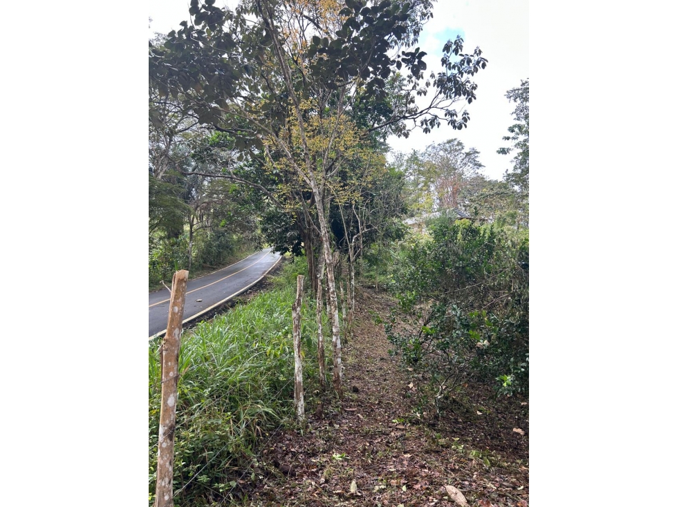 FINCA EN VENTA CAPIRA, PANAMÁ OESTE - 2
