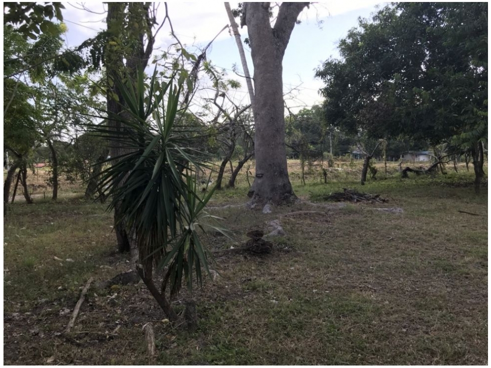 Se Vende Terreno en Gorgona - 5