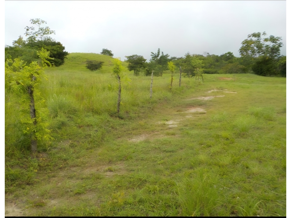 VENTA DE TERRENO EN SAN CARLOS, GANGA - 3