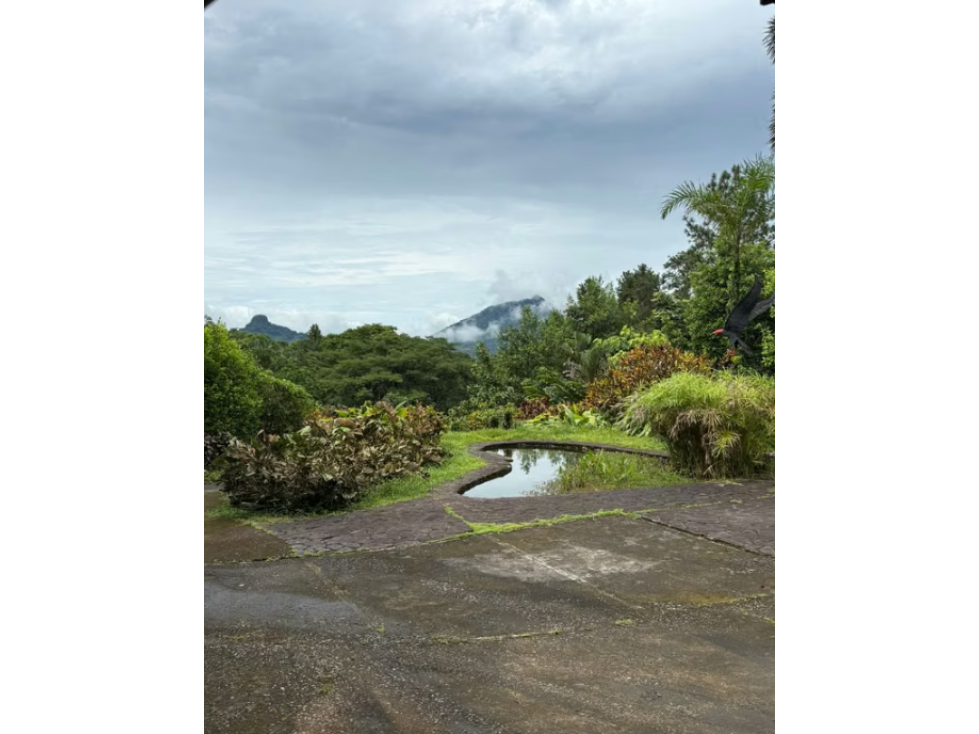 FINCA CAMPESTRE EN VENTA PICO PIXBAE, PENONOMÉ, COCLÉ - 5