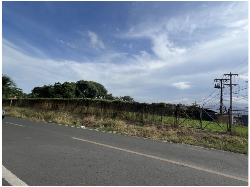 SE VENDE TERRENO EN PEDREGAL (CIUDAD DE PANAMA) — foto 6