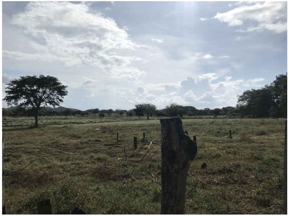 Venta de Terreno en Chitré - 3