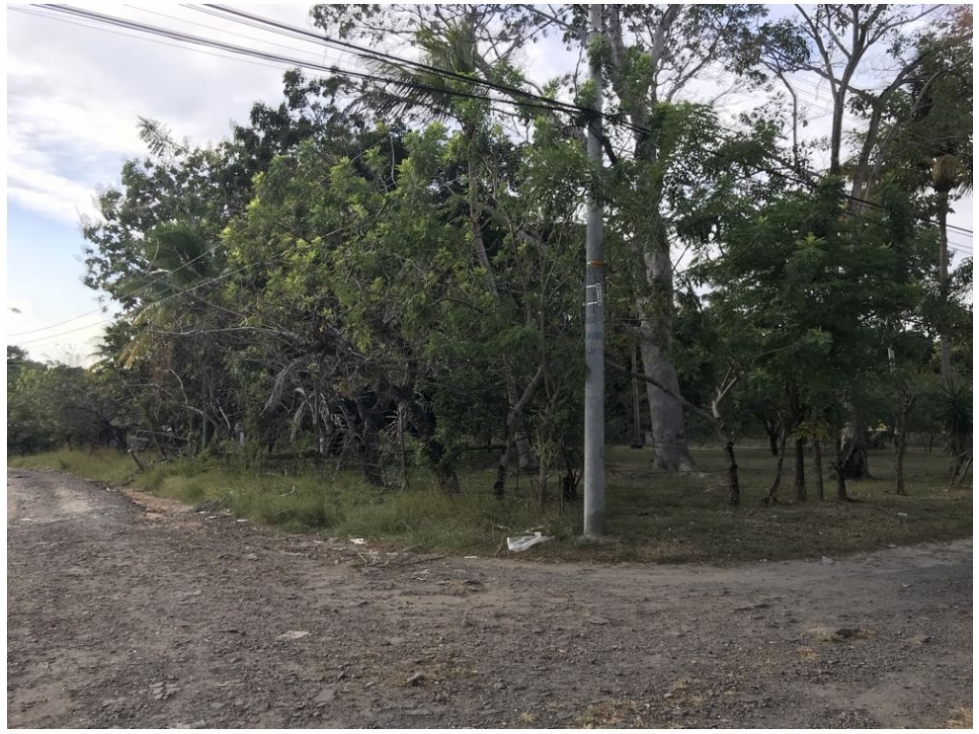 Se Vende Terreno en Gorgona - 6