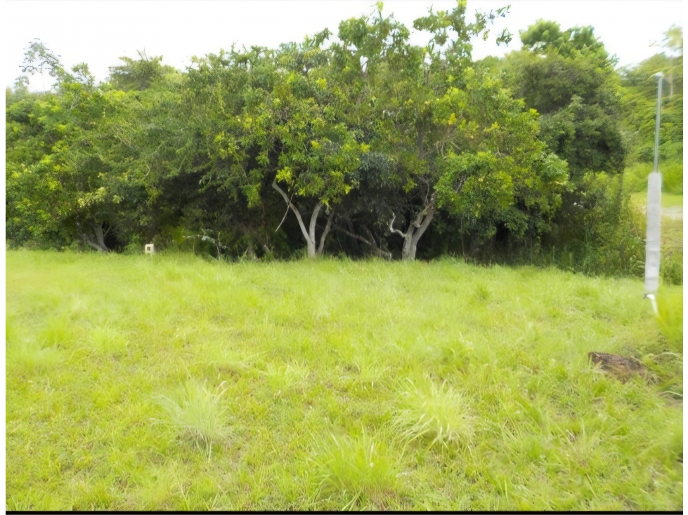 VENTA DE TERRENO EN SAN CARLOS, GANGA - 1