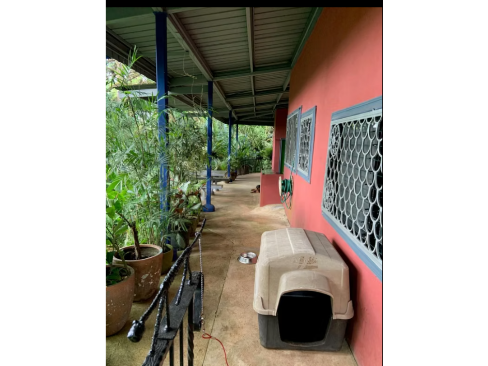 FINCA CAMPESTRE EN VENTA PICO PIXBAE, PENONOMÉ, COCLÉ - 6