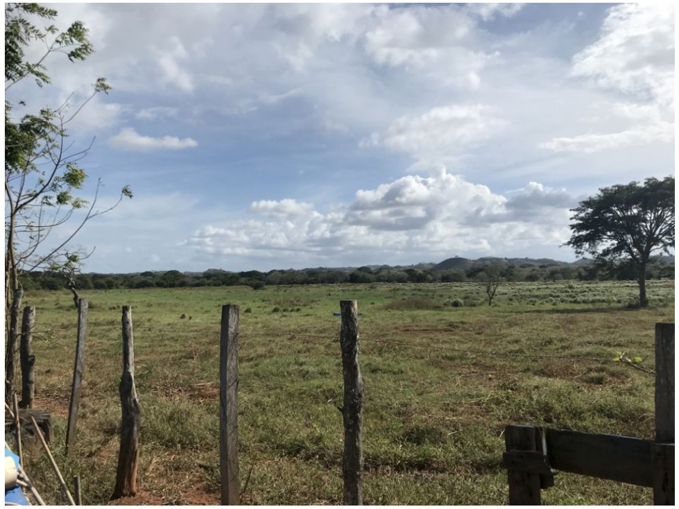 Venta de Terreno en Chitré - 4