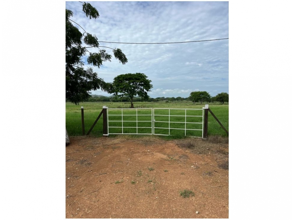 Venta de Terreno en Chitré - 5