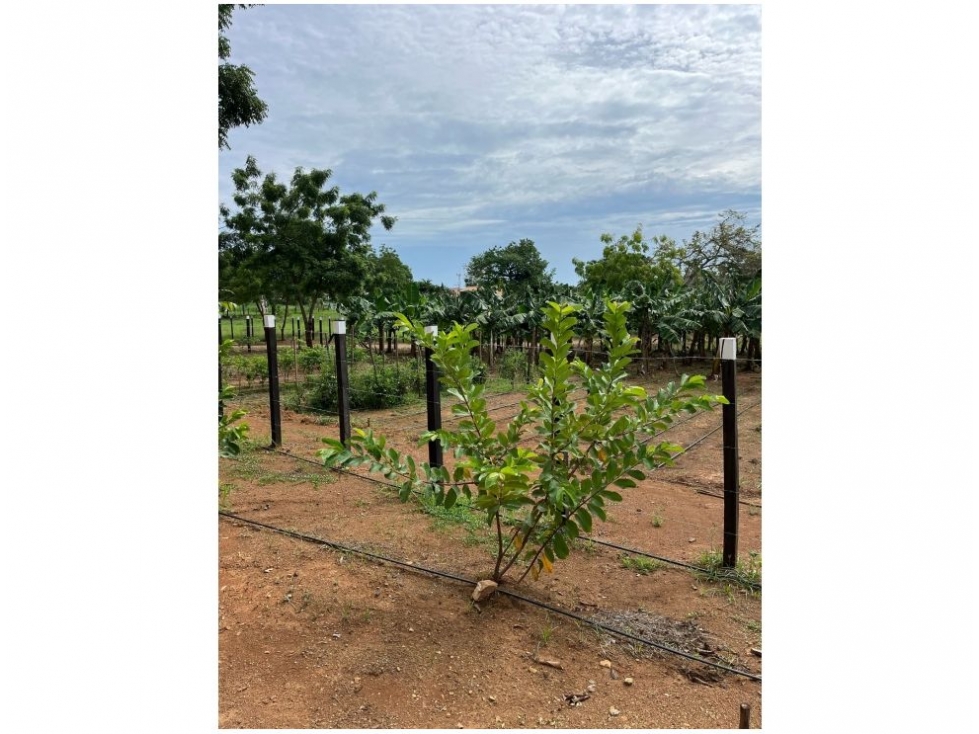 Venta de Terreno en Chitré - 6