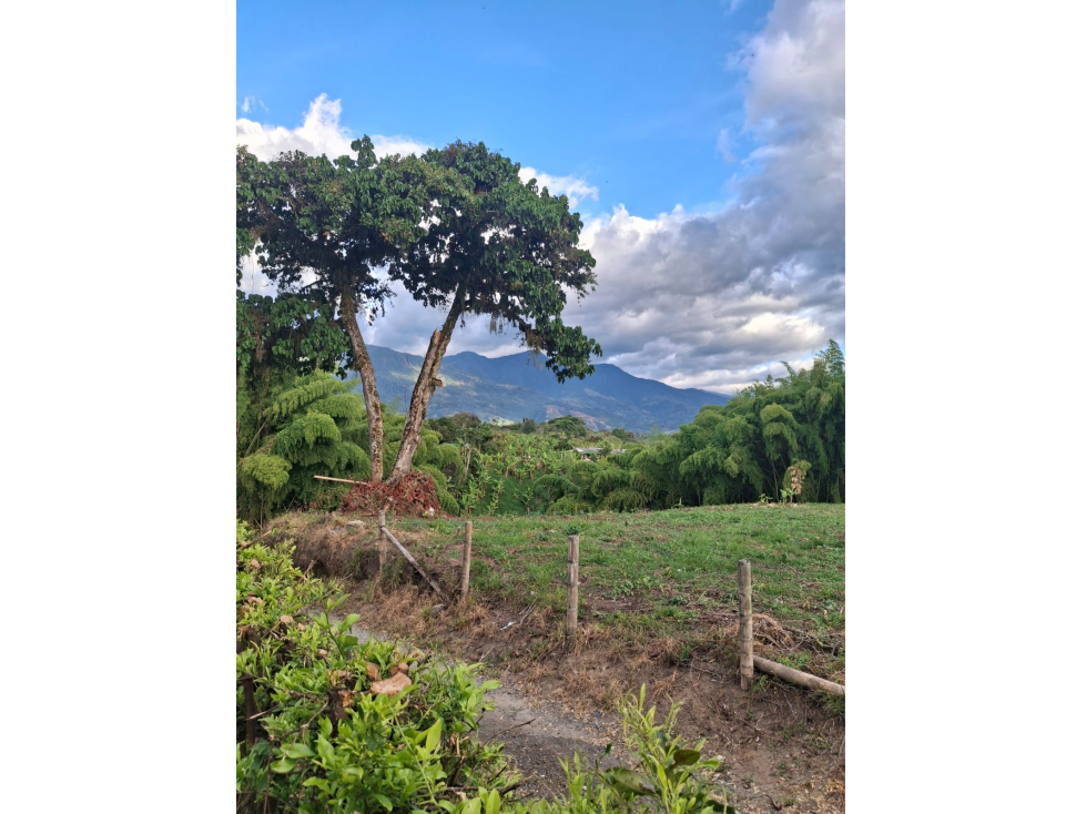 LOTE EN ARRIENDO 6.400 M² - 2