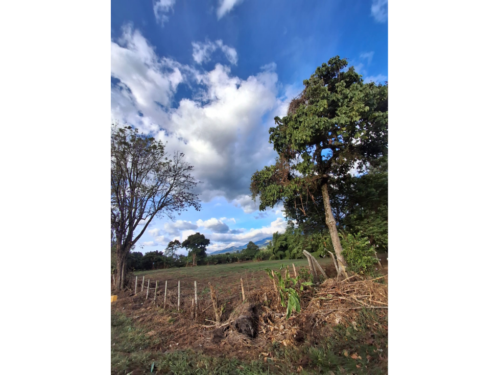 LOTE EN ARRIENDO 6.400 M² - 4