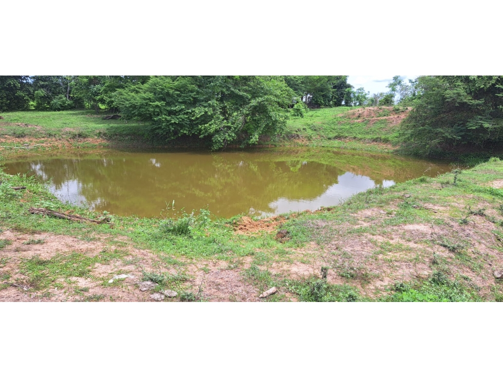 Venta de Finca Ganadera en Montería. — foto 3