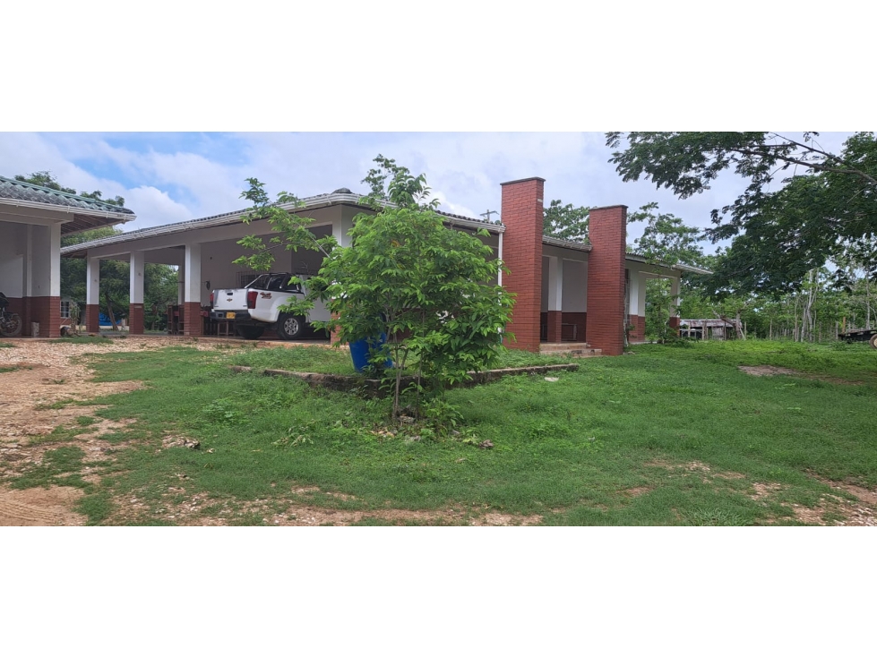 Venta de Finca Ganadera en Montería.