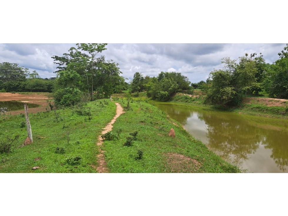 Venta de Finca Ganadera en Montería. — foto 5
