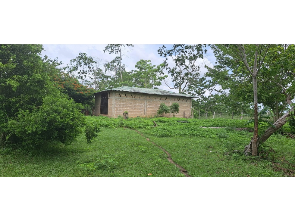 Venta de Finca Ganadera en Montería. — foto 2