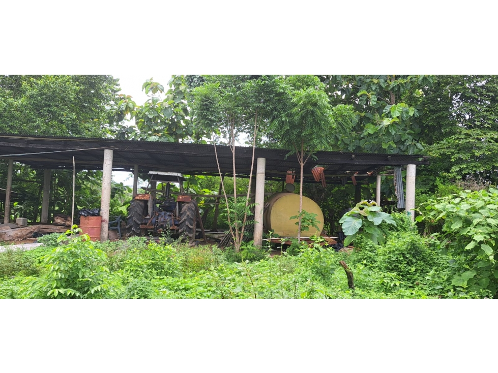 Venta de Finca Ganadera en Montería. — foto 6