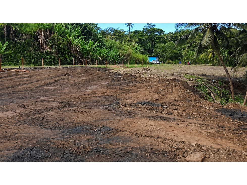 Terreno frente al mar en venta | Miguel de la Borda, Colón - 2