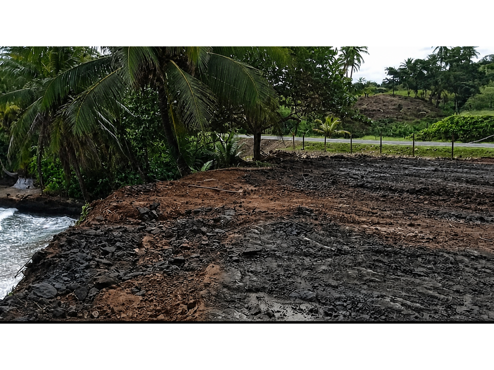 Terreno frente al mar en venta | Miguel de la Borda, Colón - 3