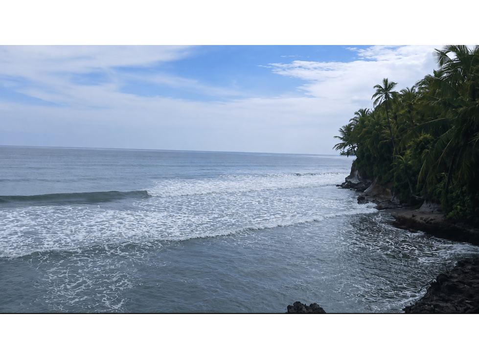 Terreno frente al mar en venta | Miguel de la Borda, Colón - 4