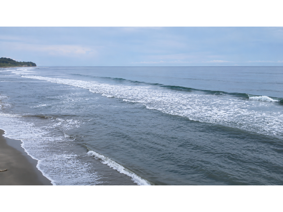 Terreno frente al mar en venta | Miguel de la Borda, Colón - 5