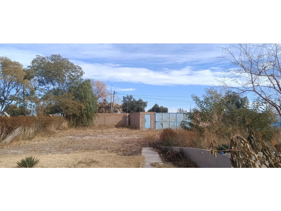 GALPON DE EMPAQUE VENTA RUTA 60 JUNIN - 1