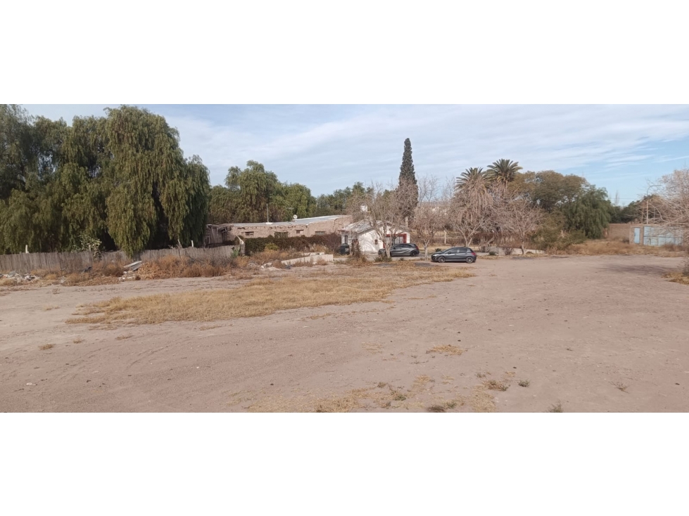 GALPON DE EMPAQUE VENTA RUTA 60 JUNIN - 2