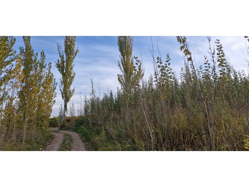 TERRENO VENTA FRAY LUIS BELTRAN, MAIPU - 5