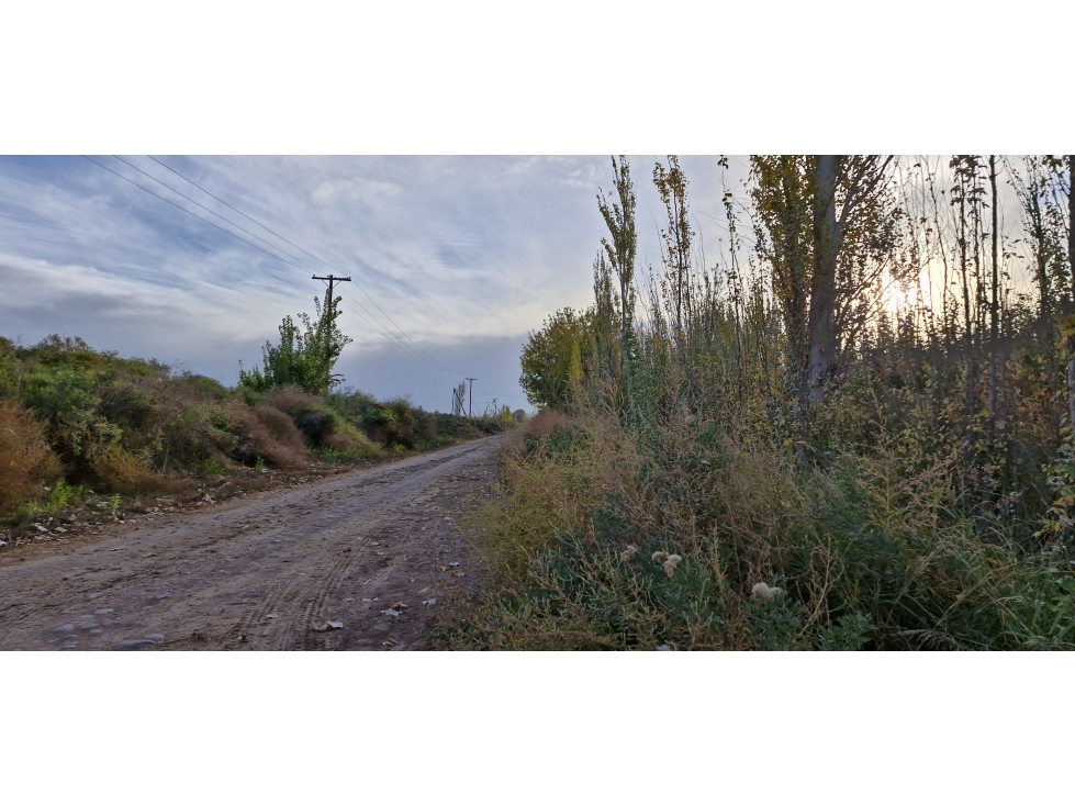 TERRENO VENTA FRAY LUIS BELTRAN, MAIPU - 6