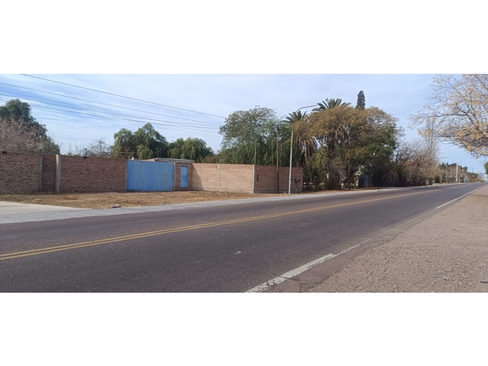 GALPON DE EMPAQUE VENTA RUTA 60 JUNIN - 6