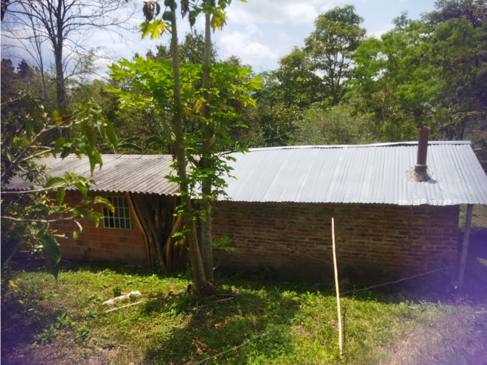 Finca Agrícola en Venta de 13.000 M2 en Bituima Cundinamarca - 5