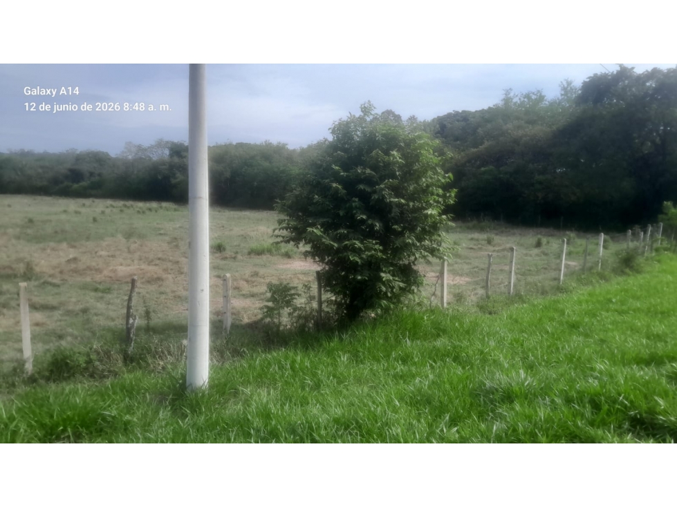 SE VENDE "EL RANCHON" DE 2.000 HECTAREAS EN CAMBAO - CUNDINAMARCA - 3