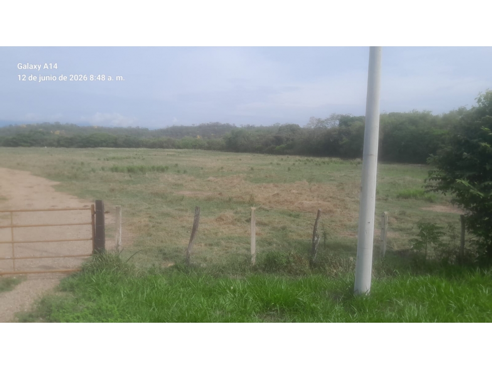 SE VENDE "EL RANCHON" DE 2.000 HECTAREAS EN CAMBAO - CUNDINAMARCA - 2