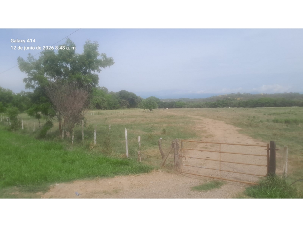 SE VENDE "EL RANCHON" DE 2.000 HECTAREAS EN CAMBAO - CUNDINAMARCA - 5
