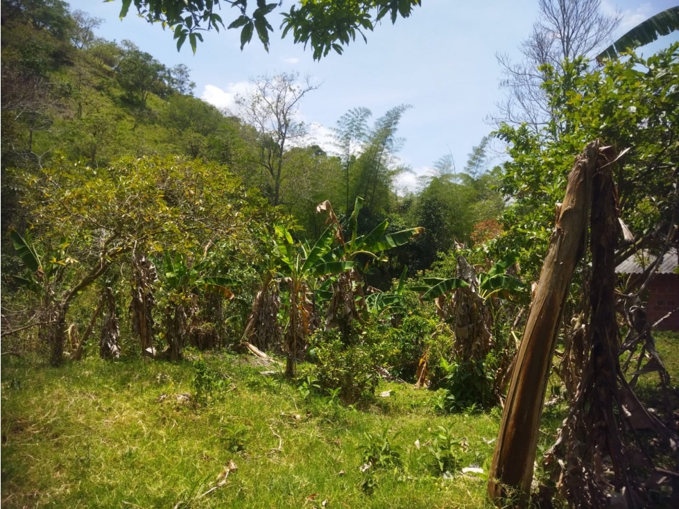 Finca Agrícola en Venta de 13.000 M2 en Bituima Cundinamarca - 4