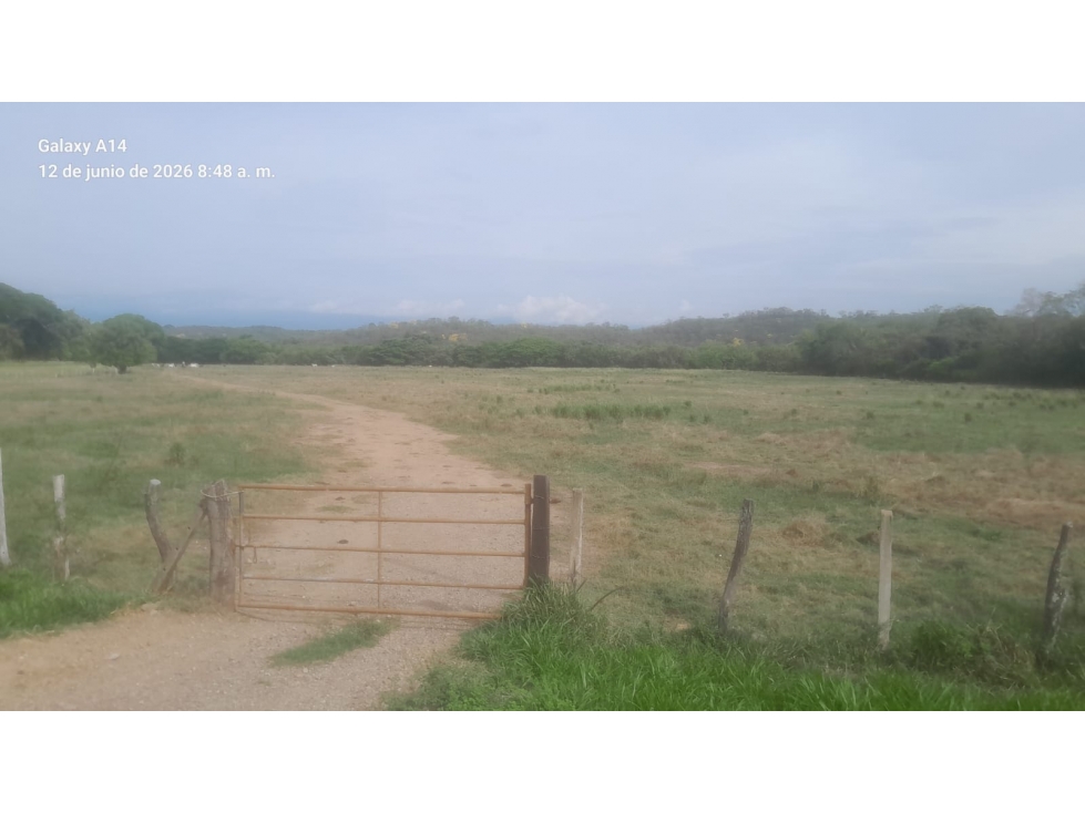 SE VENDE "EL RANCHON" DE 2.000 HECTAREAS EN CAMBAO - CUNDINAMARCA - 4