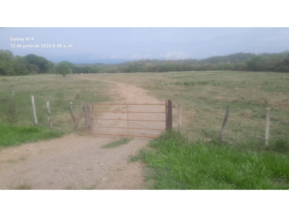 SE VENDE "EL RANCHON" DE 2.000 HECTAREAS EN CAMBAO - CUNDINAMARCA - 6