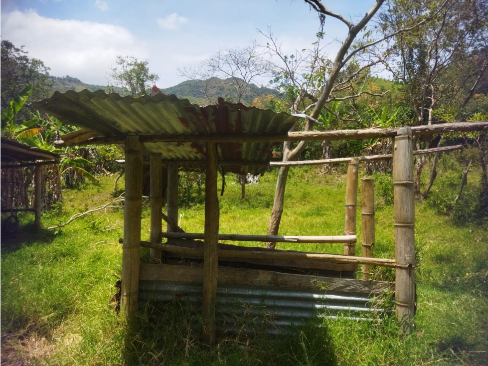 Finca Agrícola en Venta de 13.000 M2 en Bituima Cundinamarca - 3